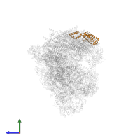 Gamma carbonic anhydrase 1, mitochondrial in PDB entry 8bpx, assembly 1, side view.