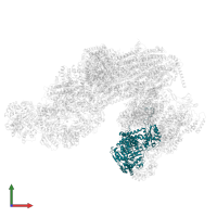 Probable mitochondrial-processing peptidase subunit alpha-1, mitochondrial in PDB entry 8bpx, assembly 1, front view.