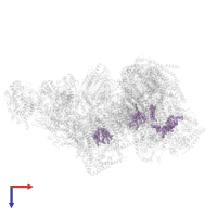 CARDIOLIPIN in PDB entry 8bpx, assembly 1, top view.