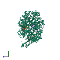 Hetero nonameric assembly 1 of PDB entry 8btg coloured by chemically distinct molecules, side view.