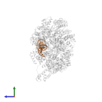 DNA (5'-D(P*AP*CP*TP*TP*AP*TP*CP*CP*AP*CP*AP*AP*AP*TP*CP*CP*AP*CP*AP*GP*GP*CP*CP*C)-3') in PDB entry 8btg, assembly 1, side view.