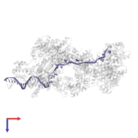 DNA (41-MER) in PDB entry 8btg, assembly 1, top view.