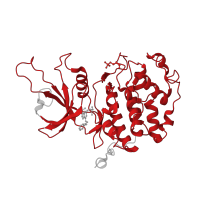 The deposited structure of PDB entry 8bul contains 3 copies of Pfam domain PF00069 (Protein kinase domain) in Cyclin-dependent kinase 12. Showing 1 copy in chain B.