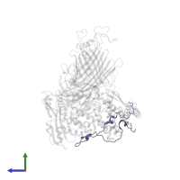 Outer membrane protein assembly factor BamC in PDB entry 8bwc, assembly 1, side view.