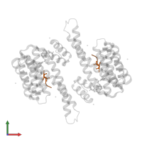 ERalpha peptide in PDB entry 8bx3, assembly 1, front view.