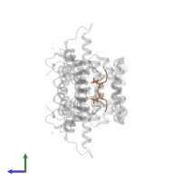 ERalpha peptide in PDB entry 8bx3, assembly 1, side view.