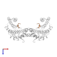 ERalpha peptide in PDB entry 8bx3, assembly 1, top view.