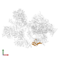 RNA polymerase Rpb4/RPC9 core domain-containing protein in PDB entry 8byq, assembly 1, front view.