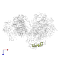 TATA-box-binding protein in PDB entry 8byq, assembly 1, top view.