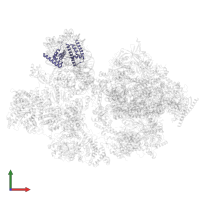 Histone H2B 1.1 in PDB entry 8byq, assembly 1, front view.