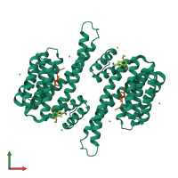 Hetero tetrameric assembly 1 of PDB entry 8bz0 coloured by chemically distinct molecules, front view.