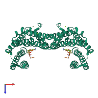 Hetero tetrameric assembly 1 of PDB entry 8bz0 coloured by chemically distinct molecules, top view.