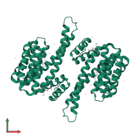 14-3-3 protein sigma in PDB entry 8bz0, assembly 1, front view.