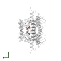 ERalpha peptide in PDB entry 8bz0, assembly 1, side view.