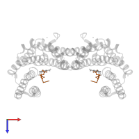 ERalpha peptide in PDB entry 8bz0, assembly 1, top view.