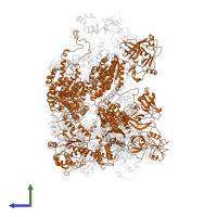 Peroxisomal ATPase PEX1 in PDB entry 8c0w, assembly 1, side view.