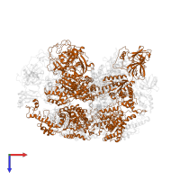 Peroxisomal ATPase PEX1 in PDB entry 8c0w, assembly 1, top view.