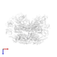 unknown peptide in PDB entry 8c0w, assembly 1, top view.