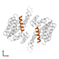 MLX interacting protein like in PDB entry 8c1y, assembly 1, front view.
