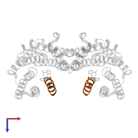 MLX interacting protein like in PDB entry 8c1y, assembly 1, top view.