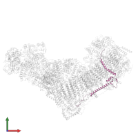 NADH dehydrogenase [ubiquinone] 1 beta subcomplex subunit 5, mitochondrial in PDB entry 8c2s, assembly 1, front view.