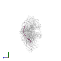 NADH dehydrogenase [ubiquinone] 1 beta subcomplex subunit 5, mitochondrial in PDB entry 8c2s, assembly 1, side view.