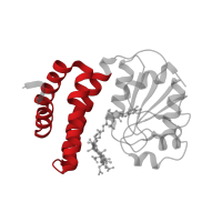 The deposited structure of PDB entry 8c76 contains 4 copies of Pfam domain PF02607 (B12 binding domain) in Probable transcriptional regulator. Showing 1 copy in chain D.