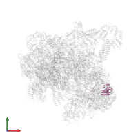 Small ribosomal subunit protein uS9A in PDB entry 8cah, assembly 1, front view.