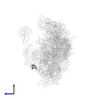 RNA recognition motif (unknown) in PDB entry 8cah, assembly 1, side view.