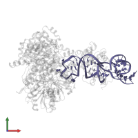 Mitochondrial Precursor tRNA-Ile(5,4) in PDB entry 8cbo, assembly 1, front view.