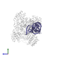 Mitochondrial Precursor tRNA-Ile(5,4) in PDB entry 8cbo, assembly 1, side view.