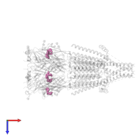 1-(3-chlorophenyl)sulfonyl-4-piperazin-1-yl-pyrrolo[3,2-c]quinoline in PDB entry 8cc7, assembly 1, top view.