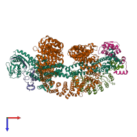 PDB entry 8cdk coloured by chain, top view.
