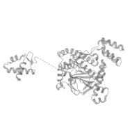 The deposited structure of PDB entry 8cdv contains 1 copy of Pfam domain PF00575 (S1 RNA binding domain) in Ribonuclease R. Showing 1 copy in chain C (this domain is out of the observed residue ranges!).