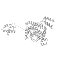 The deposited structure of PDB entry 8cdv contains 1 copy of Pfam domain PF08206 (Ribonuclease B OB domain) in Ribonuclease R. Showing 1 copy in chain C (this domain is out of the observed residue ranges!).