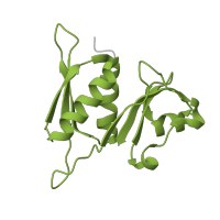 The deposited structure of PDB entry 8cdv contains 1 copy of Pfam domain PF00410 (Ribosomal protein S8) in Small ribosomal subunit protein uS8. Showing 1 copy in chain G [auth I].