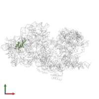 Small ribosomal subunit protein bS16 in PDB entry 8cdv, assembly 1, front view.