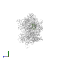 Small ribosomal subunit protein bS16 in PDB entry 8cdv, assembly 1, side view.