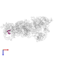 Small ribosomal subunit protein bS20 in PDB entry 8cdv, assembly 1, top view.