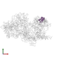 Small ribosomal subunit protein uS9 in PDB entry 8cdv, assembly 1, front view.