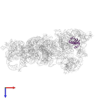 Small ribosomal subunit protein uS9 in PDB entry 8cdv, assembly 1, top view.