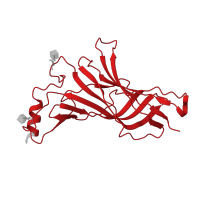 The deposited structure of PDB entry 8ce4 contains 5 copies of Pfam domain PF02931 (Neurotransmitter-gated ion-channel ligand binding domain) in Neuronal acetylcholine receptor subunit alpha-7. Showing 1 copy in chain A.
