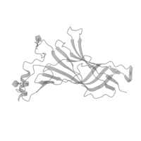 The deposited structure of PDB entry 8ce4 contains 5 copies of Pfam domain PF02932 (Neurotransmitter-gated ion-channel transmembrane region) in Neuronal acetylcholine receptor subunit alpha-7. Showing 1 copy in chain A (this domain is out of the observed residue ranges!).