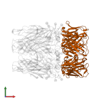 Nanobody E3 in PDB entry 8ce4, assembly 1, front view.