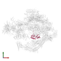 DNA-directed RNA polymerase II subunit RPB4 in PDB entry 8cen, assembly 1, front view.