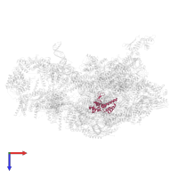 DNA-directed RNA polymerase II subunit RPB4 in PDB entry 8cen, assembly 1, top view.