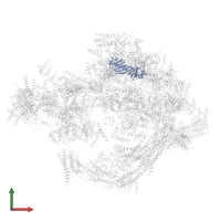 TATA-binding protein in PDB entry 8cen, assembly 1, front view.