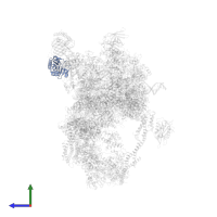 TATA-binding protein in PDB entry 8cen, assembly 1, side view.