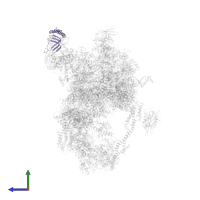 Transcription initiation factor IIA large subunit in PDB entry 8cen, assembly 1, side view.