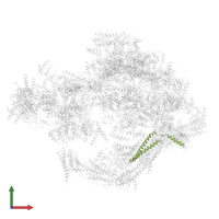 Mediator of RNA polymerase II transcription subunit 11 in PDB entry 8cen, assembly 1, front view.